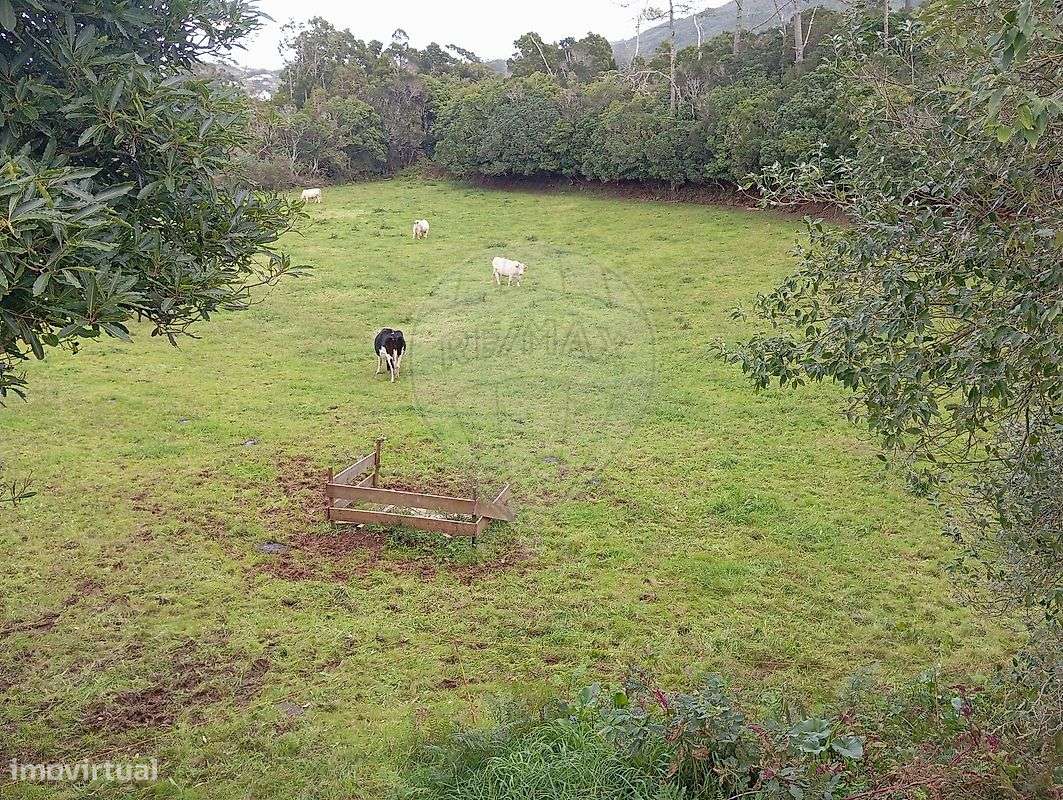 Terreno  para venda-2