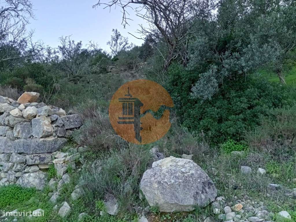 Terreno Rústico com bons acessos - Grande imagem: 5/5