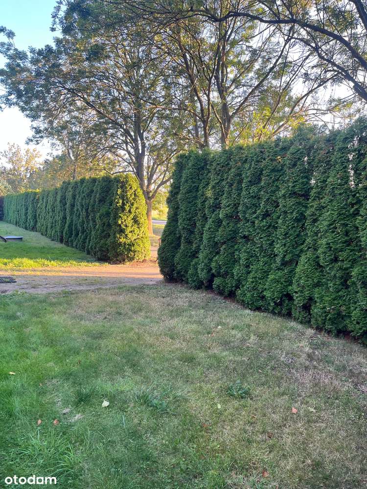 Oleśnica / Obrzeża/  Garaż / Piwnica / Teren Rekreacyjny-19