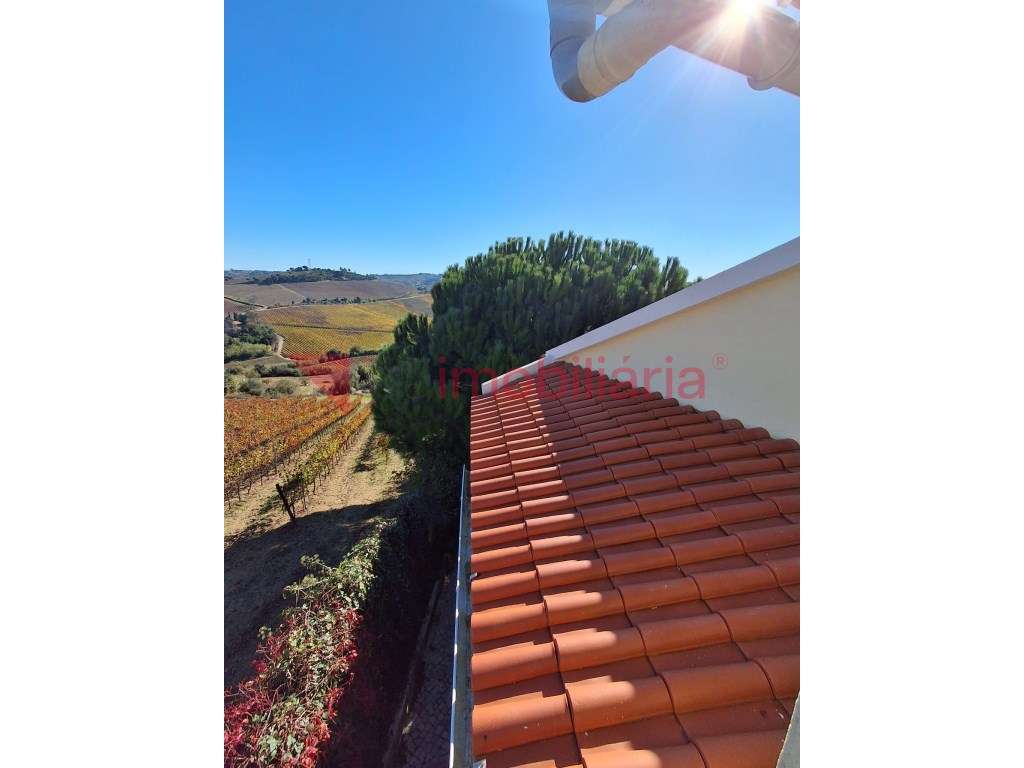 Moradia Rustica inserida numa Magnifica Paisagem Vinícola-34