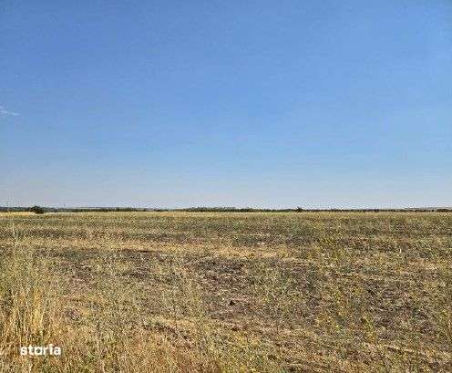 Teren extravilan Smardioasa, cota 1/6, ID: R2688427 - Imagine principală: 3/9