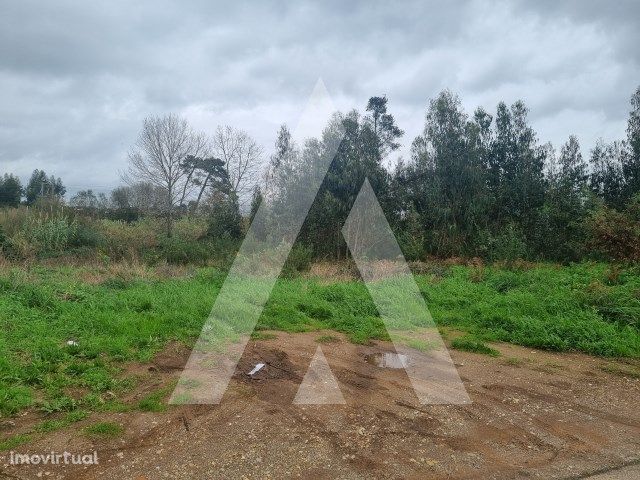 Terreno situado na Pedra Moura