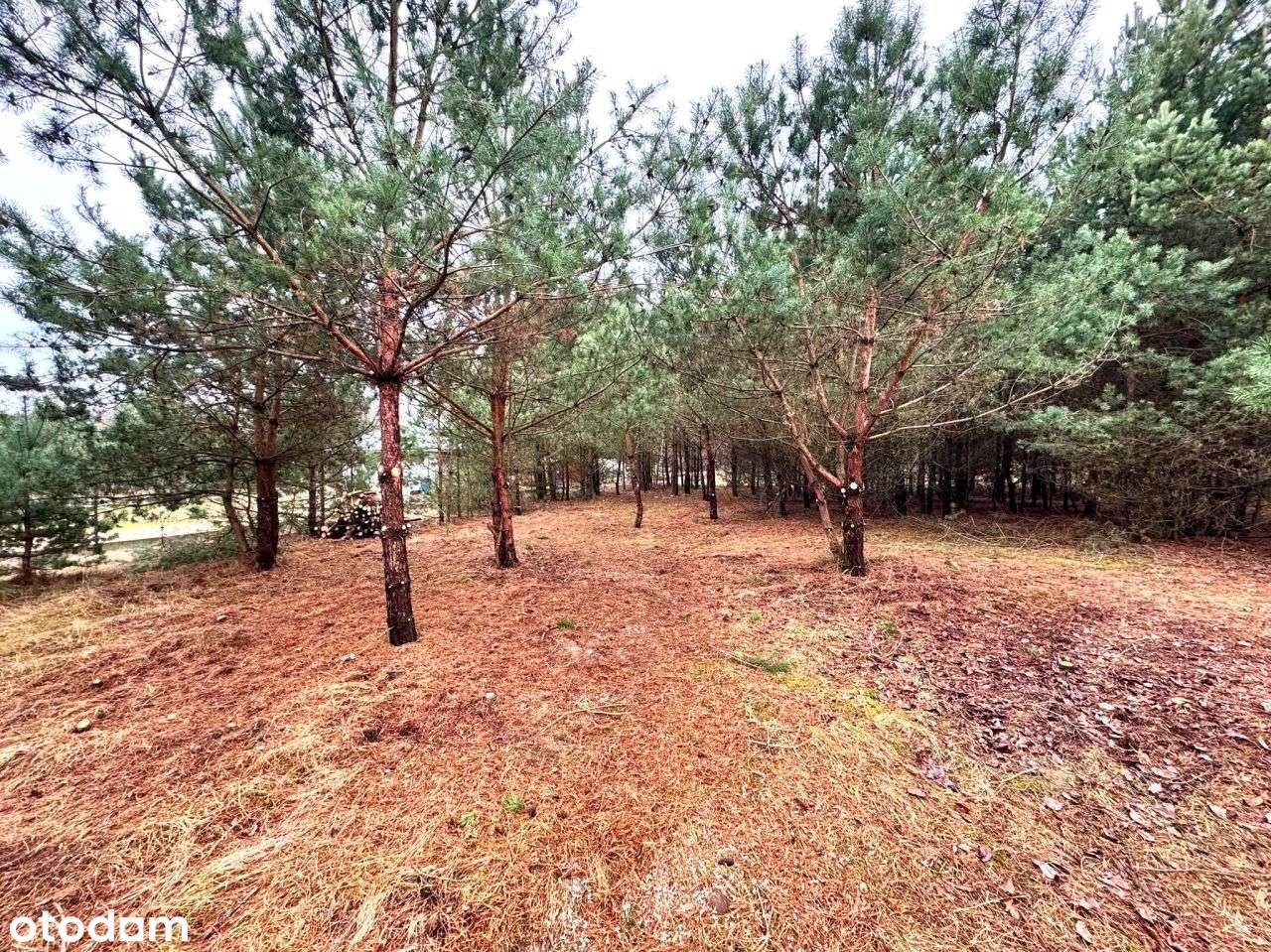 Działki budowlane w Pawłowie Skockim-1