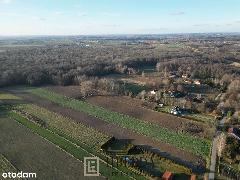 Motycz Leśny - 1412 m2 - okolice Lublina - Pełny obrazek: 2/3