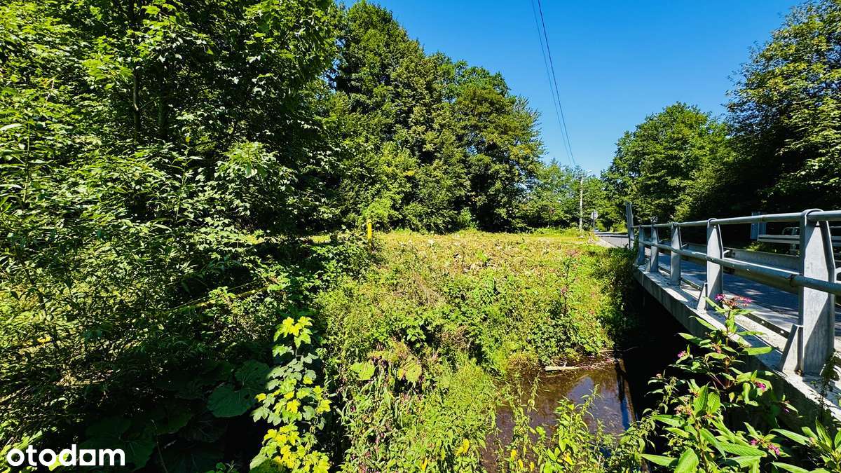 Dz. budowlana 1998 m2 obok strumyka z laskiem BRENNA - Pełny obrazek: 5/12