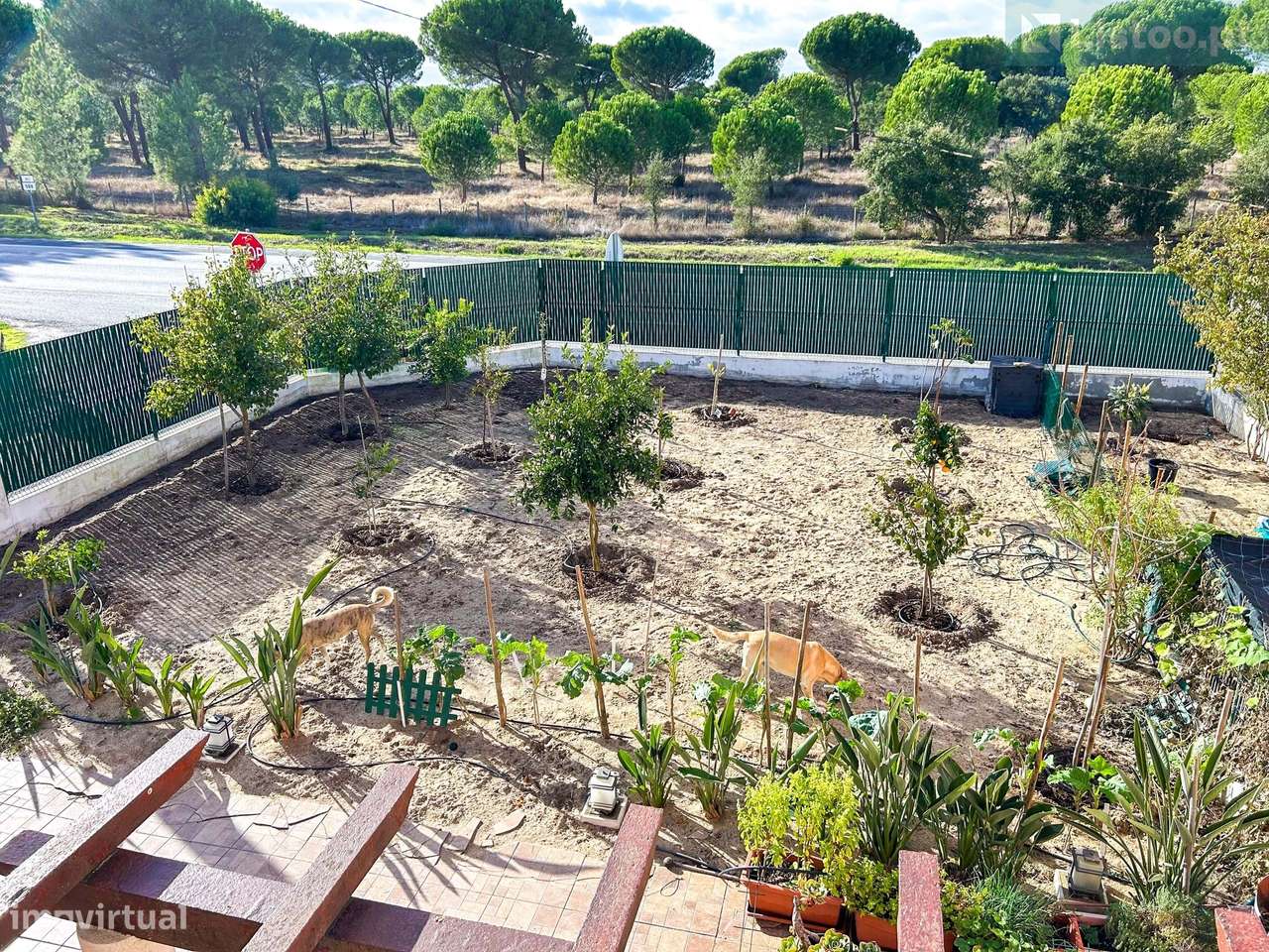 Moradia T3+T3 em  Grândola-22