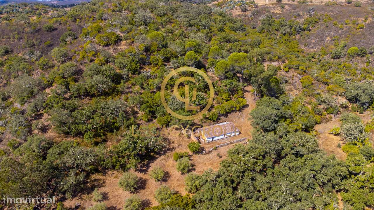 Quinta de 6 hectares perto de São Martinho das Amoreiras-26