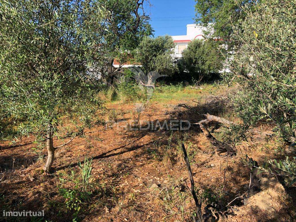 Terreno para Construção de Prédio - Grande imagem: 3/12