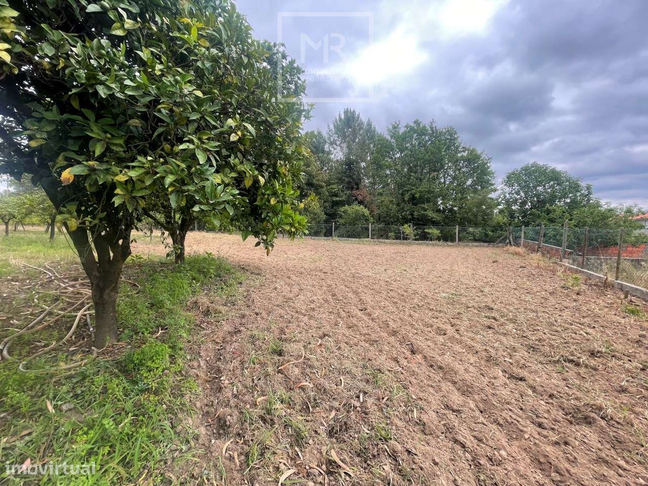 Terreno Rústico  Venda em Avelãs de Caminho,Anadia - Grande imagem: 4/6