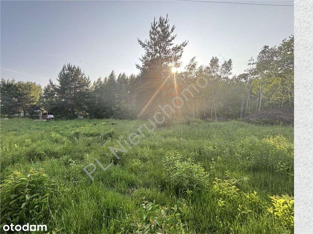 Twój dom w zielonym sercu Musuł. - Pełny obrazek: 4/6