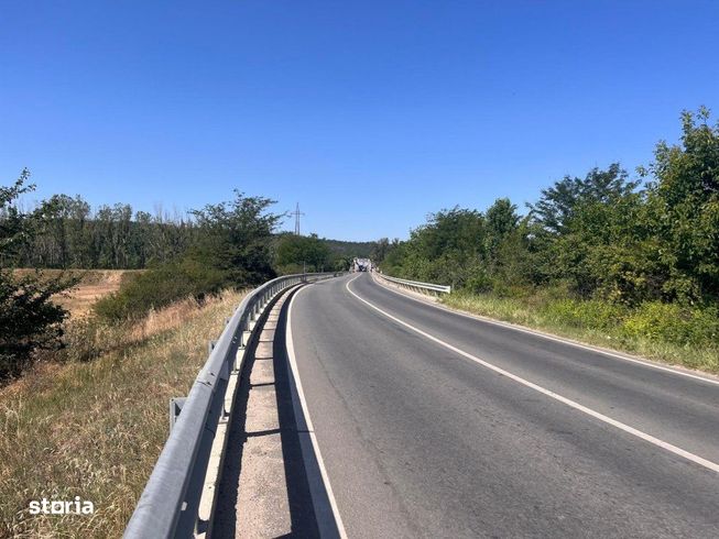 Teren agricol cu potential – 24.834 mp, zona Podul Jiului-8