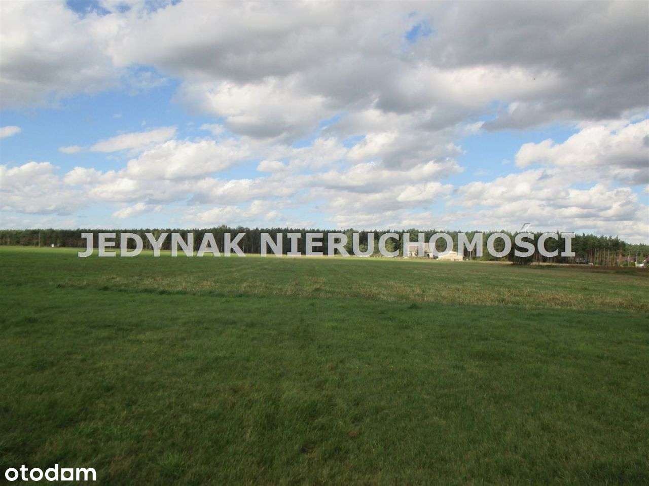 Działka, 8 776 m², Kruszyn Krajeński - Pełny obrazek: 4/6