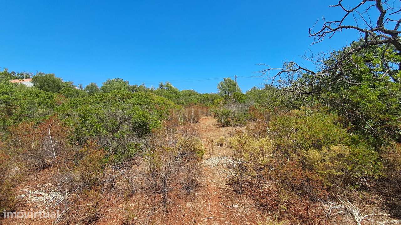 Terreno com 9.135 m² em Boliqueime-21