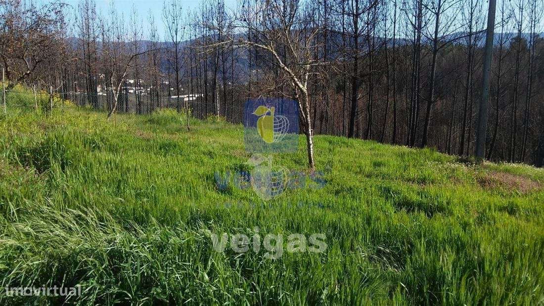 Terreno Côja - Grande imagem: 5/19