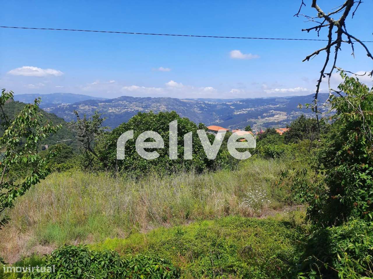 Quinta dos Poços com 2 hectares e ruina para Venda em Resende, Viseu - Grande imagem: 4/23