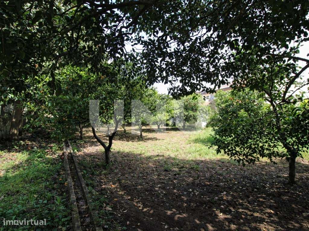 Terreno Misto em Vila Franca de Xira!-13