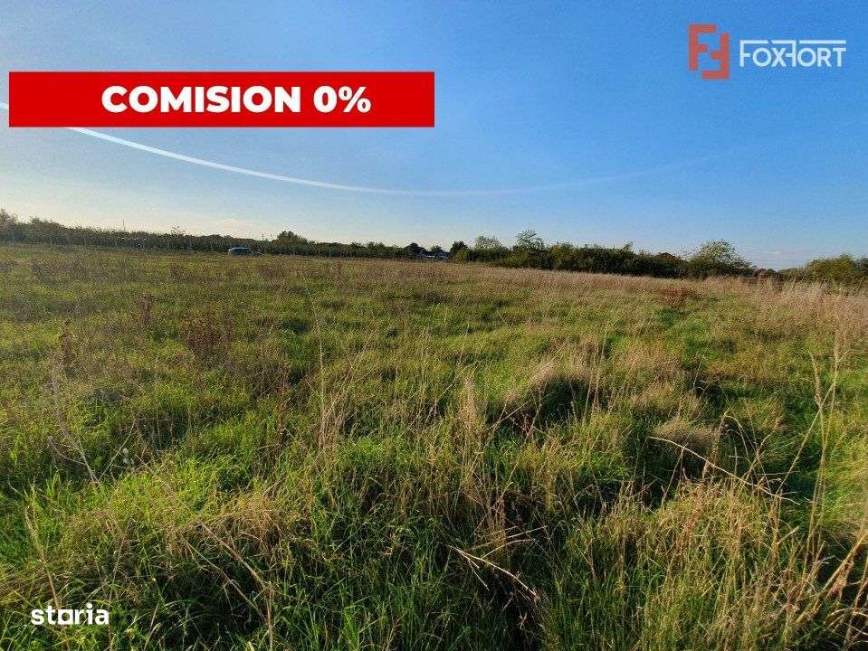 Teren intravilan de 3346 mp cu 2 fronturi - Jebel - Imagine principală: 4/8