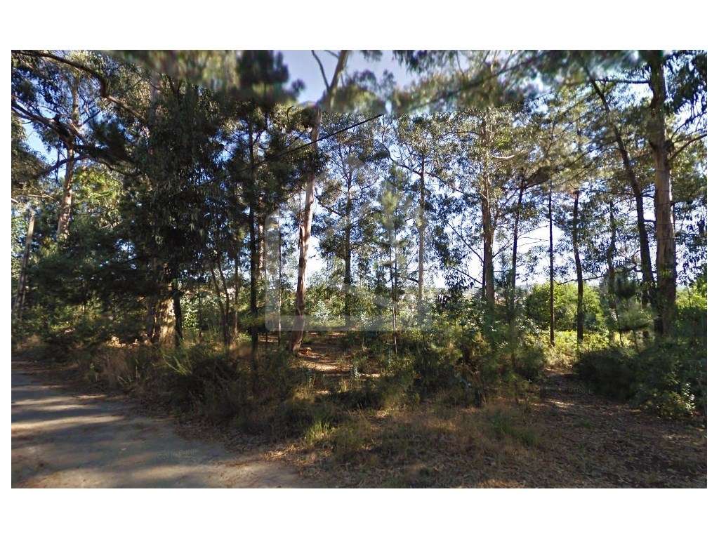 Terreno em Oliveira de Azeméis - Grande imagem: 4/6