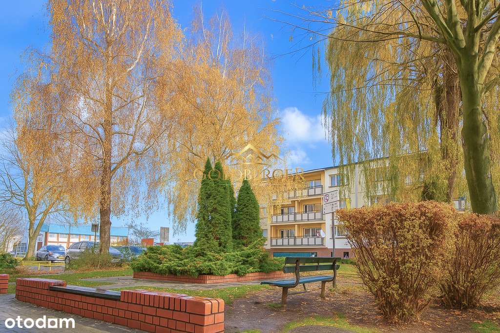 Dwa pokoje po kapitalnym remoncie!- Buk-13