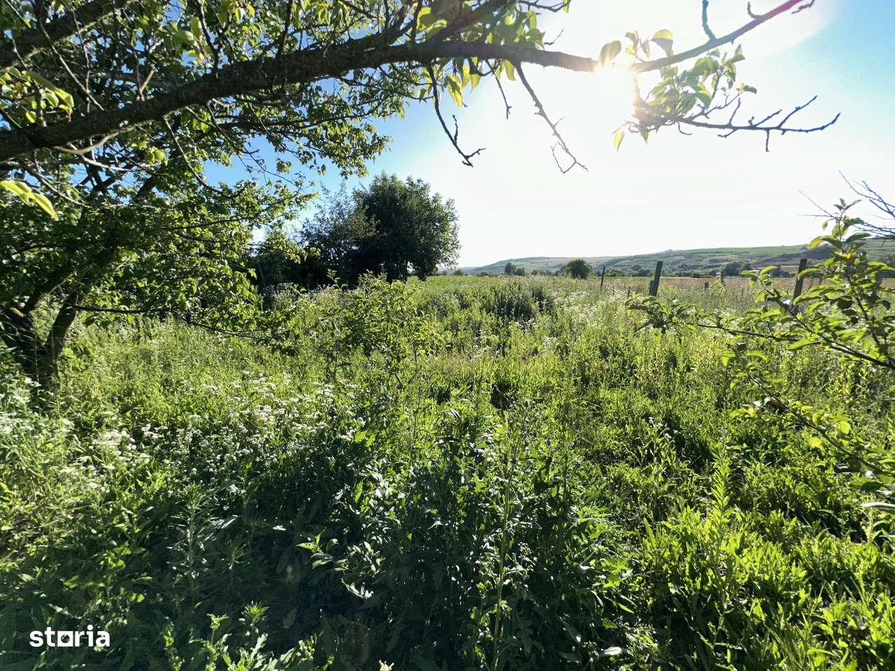 Cabana DE VÂNZARE    Sat Seuca comuna Ganesti - Imagine principală: 4/20