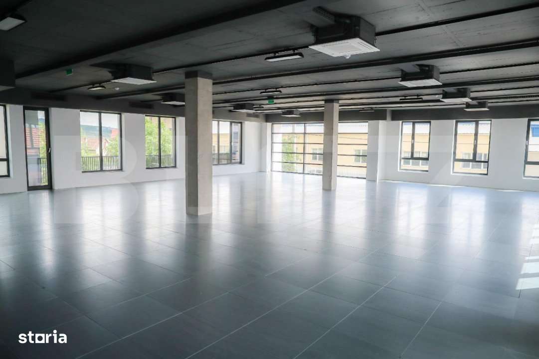 Birou ultramodern, 211 mp, prima inchiriere, zona Traian Vuia - Imagine principală: 4/10