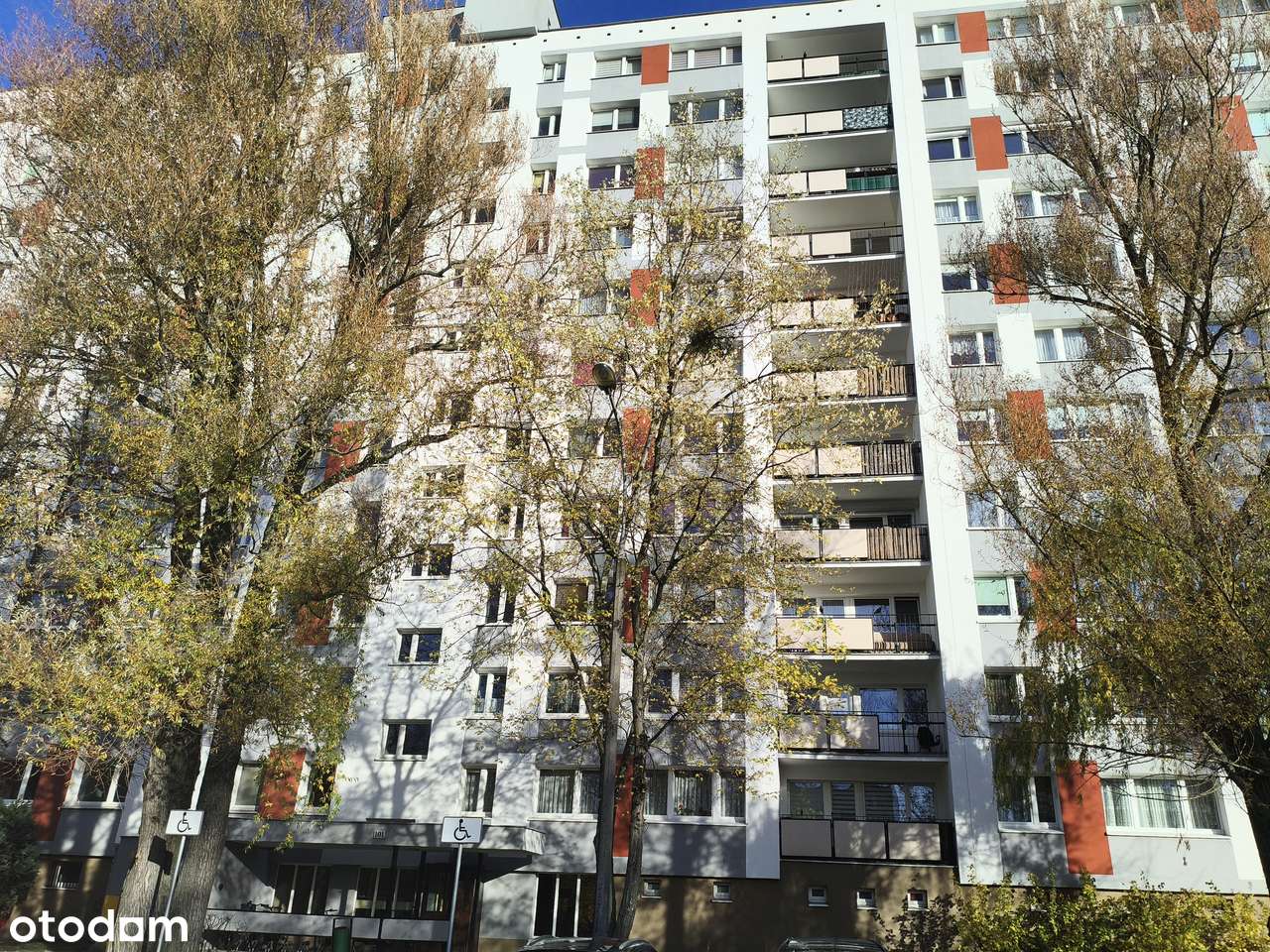 niski czynsz , piwnica , od zaraz-5