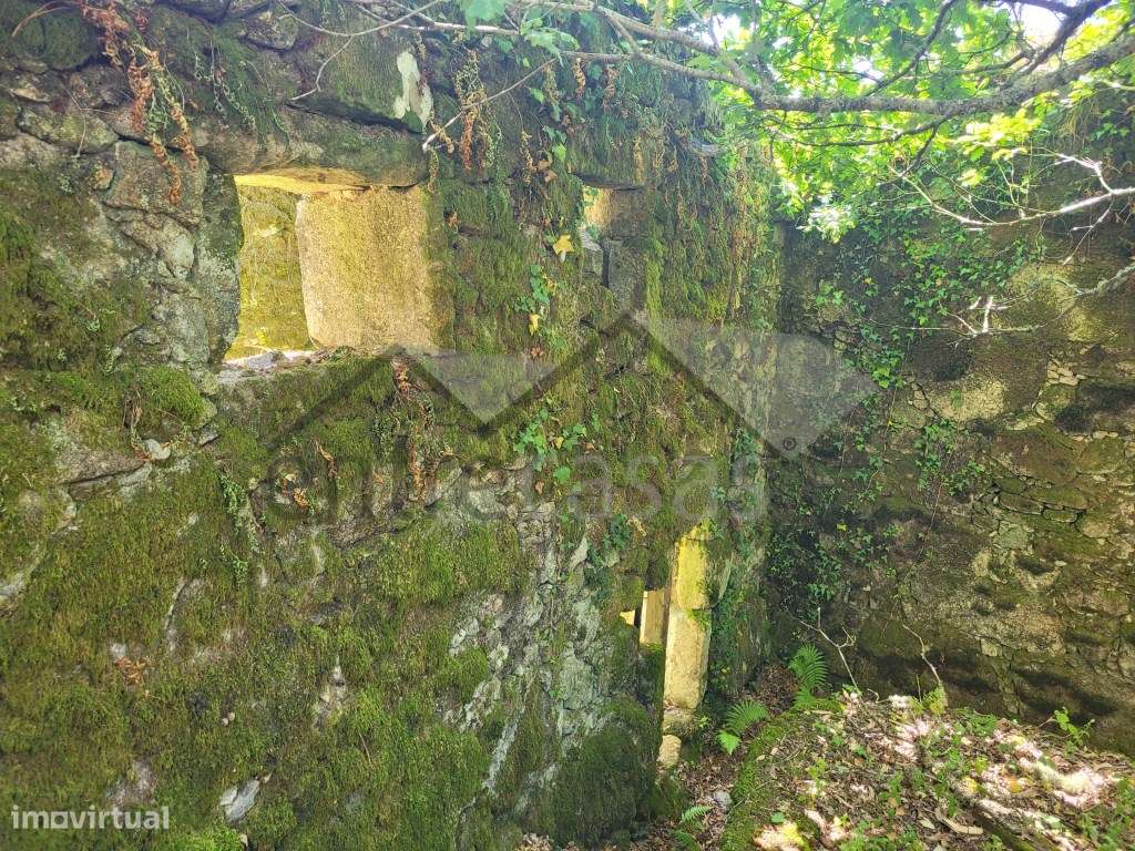 Casa em Ruínas - Refúgio Único em Plena Natureza-5