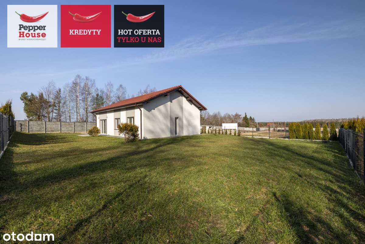 Parterowy dom w otulinie lasu! Żuławka - Pełny obrazek: 5/16