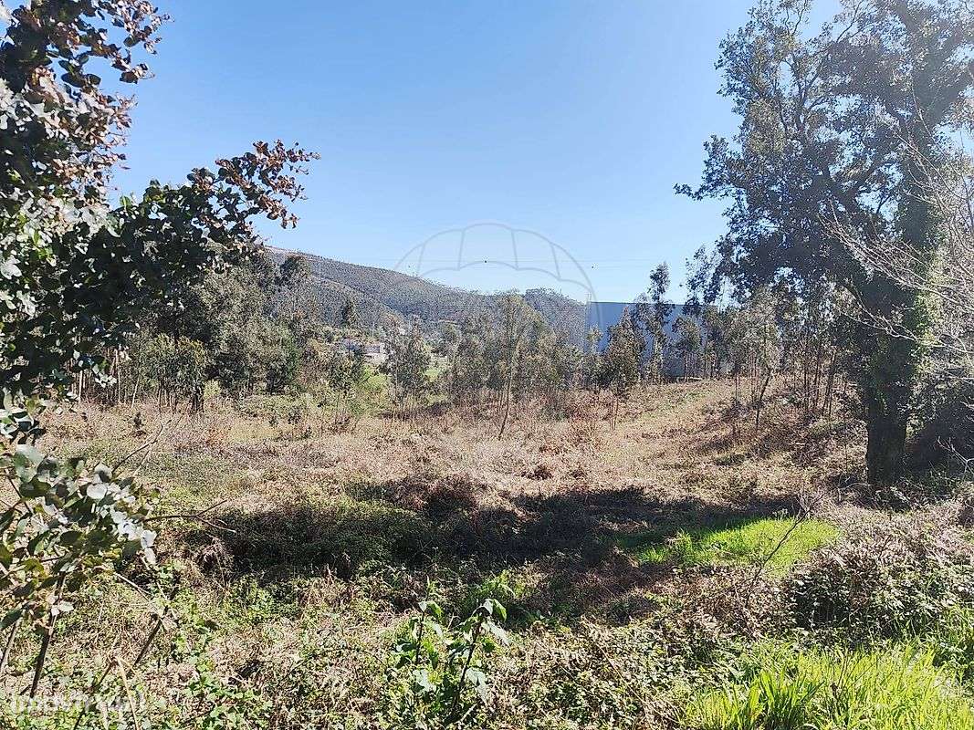 Terreno  para venda - Grande imagem: 4/12