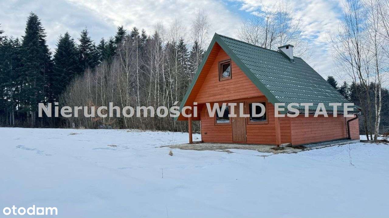 Działka, 11 163 m², Olszanica-5