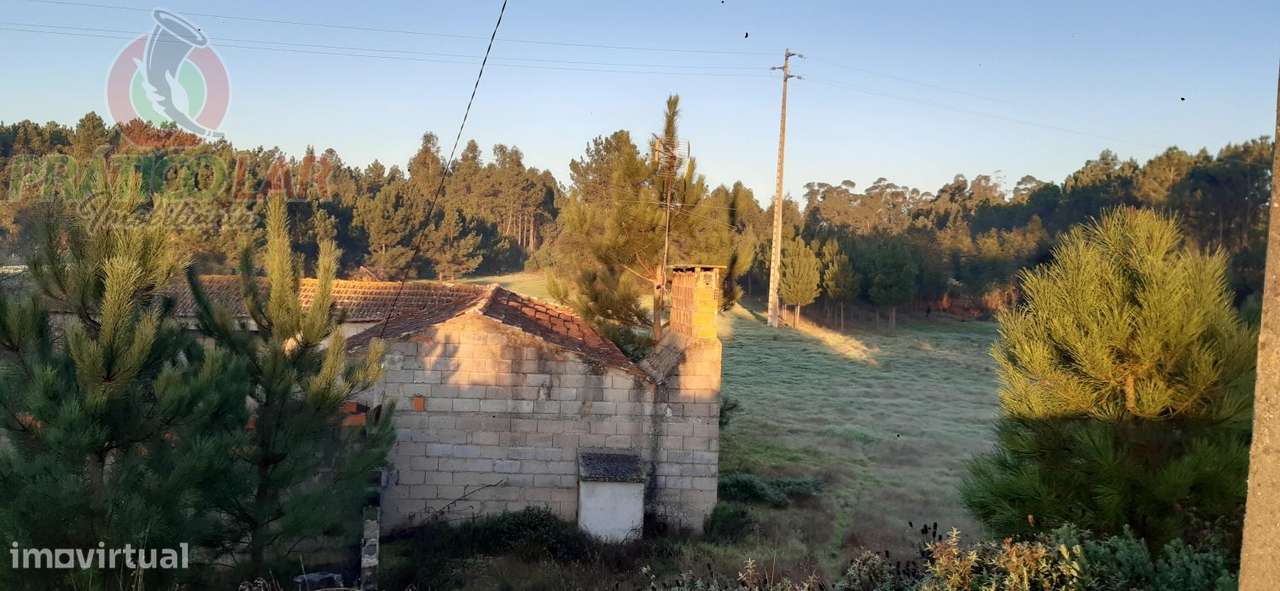Terreno c viabilidade p construção Oliveira do Bairro - Grande imagem: 5/11