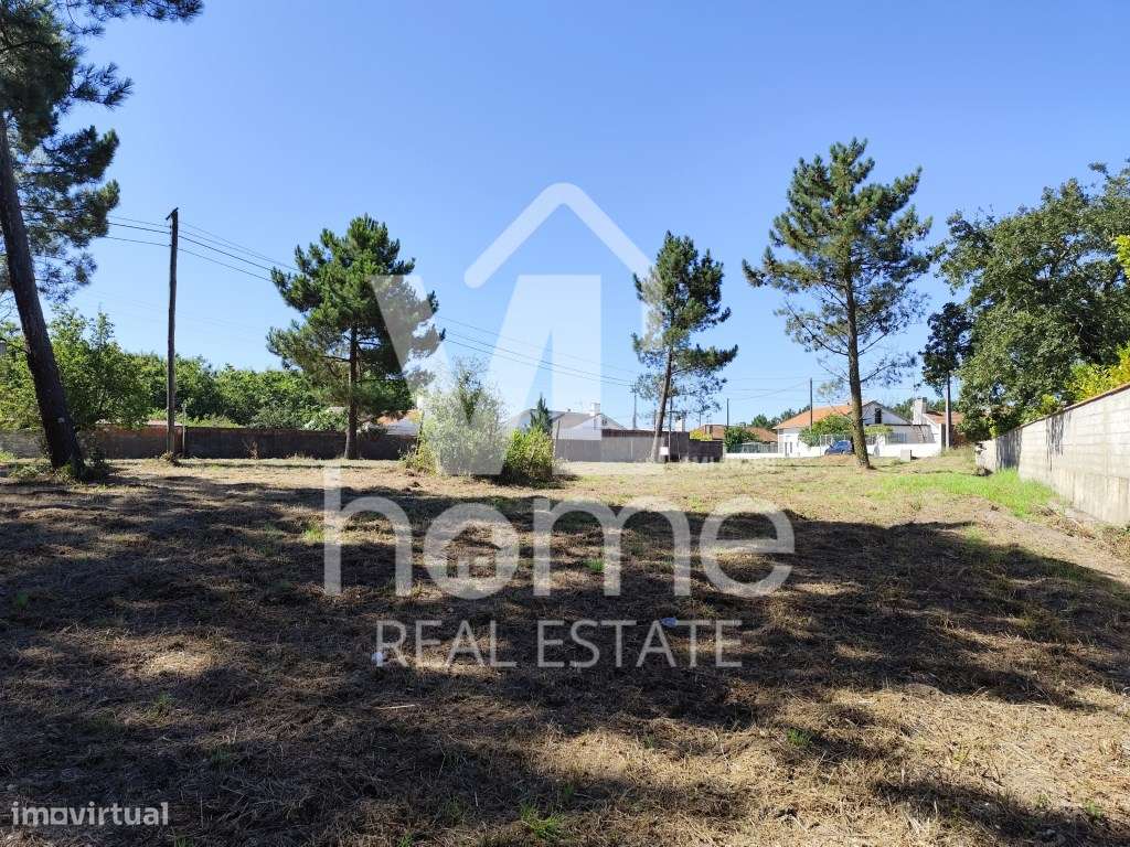 Invista no Futuro: Terreno com Potencial de Urbanização na Pocariça...-15