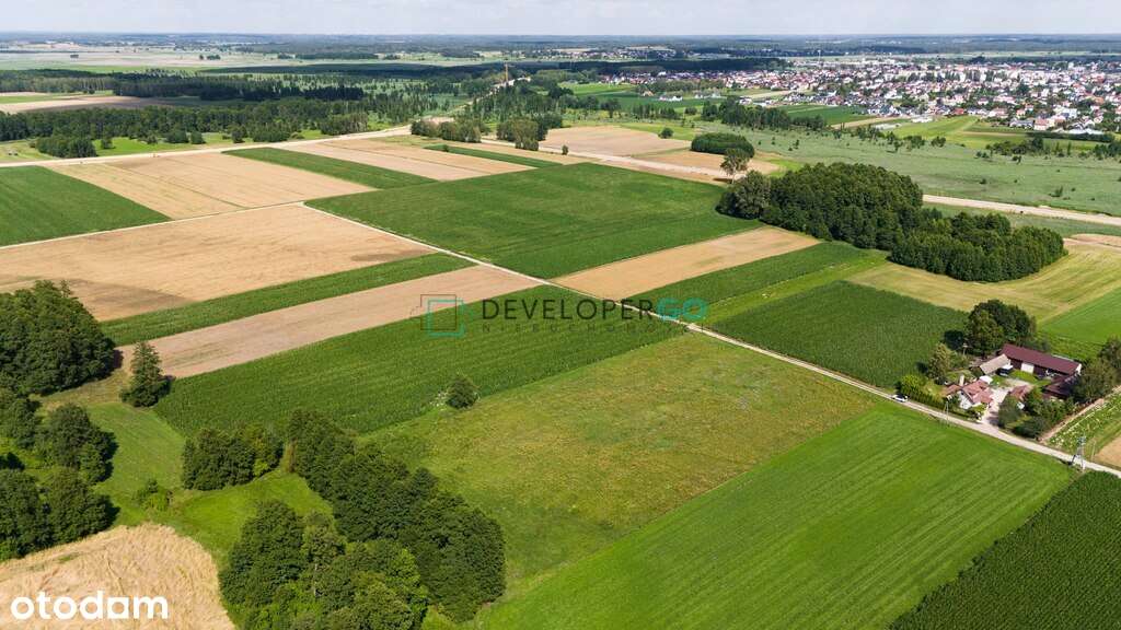 ** Urokliwa działka ze ścianą lasu 1,350ha Łapy ** - Pełny obrazek: 5/6