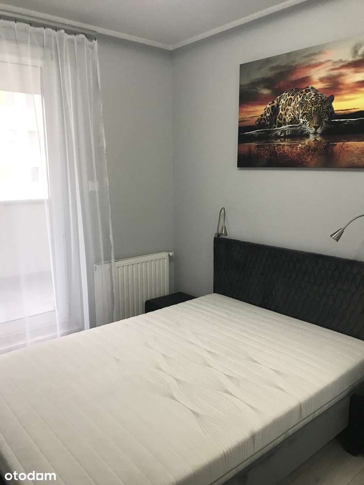 Wynajmę dwupokojowe przy ulicy Lewakowskiego 1a ST Tower Klimatyzacja - Pełny obrazek: 5/20