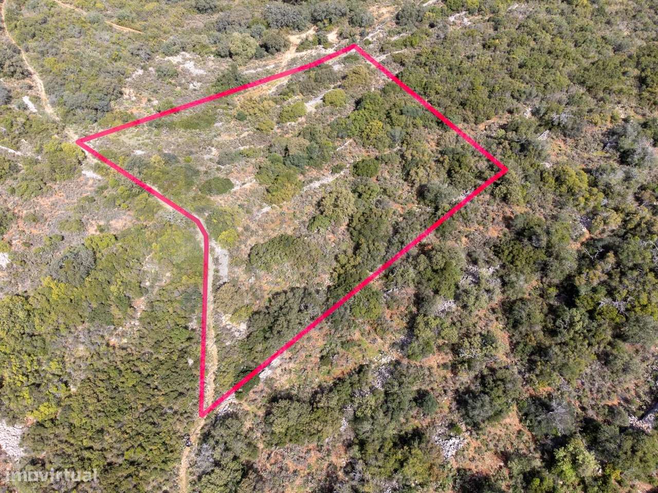 Terreno Rústico, Gorjões, Santa Bárbara de Nexe - Grande imagem: 2/16