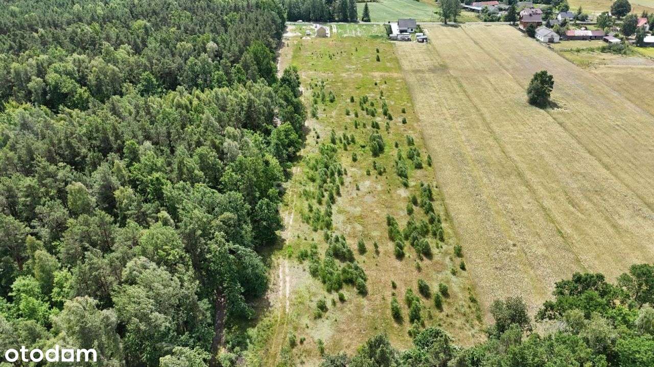 Działka, 1 517 m², Olszyc Włościański - Pełny obrazek: 4/13