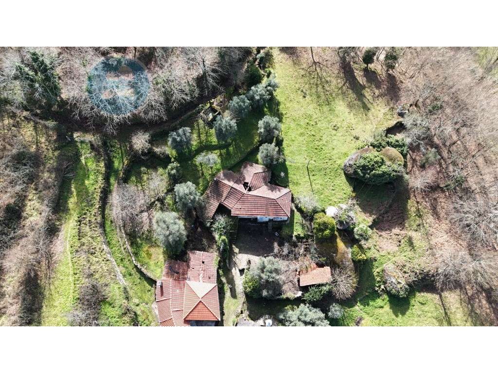 Quinta à venda para restauro em Arroteia freguesia de Rossas - Grande imagem: 4/60