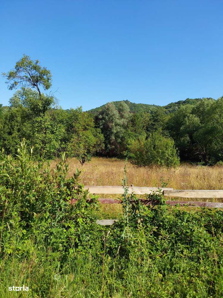 TEREN INTRAVILAN ZĂVOI\ZONA VALEA BISTREI, JUD.C-S-4