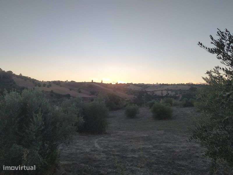 Terreno misto para construção - Grande imagem: 5/5