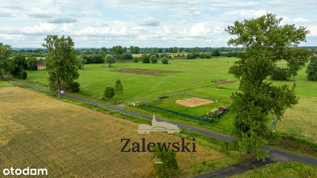 Działka budowlana z rozpoczętą budową - Krzemów - Pełny obrazek: 4/13