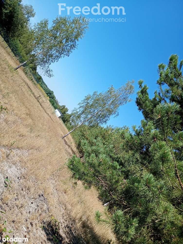 Nieruchomość 7000 m² pełne możliwości! - Pełny obrazek: 4/15