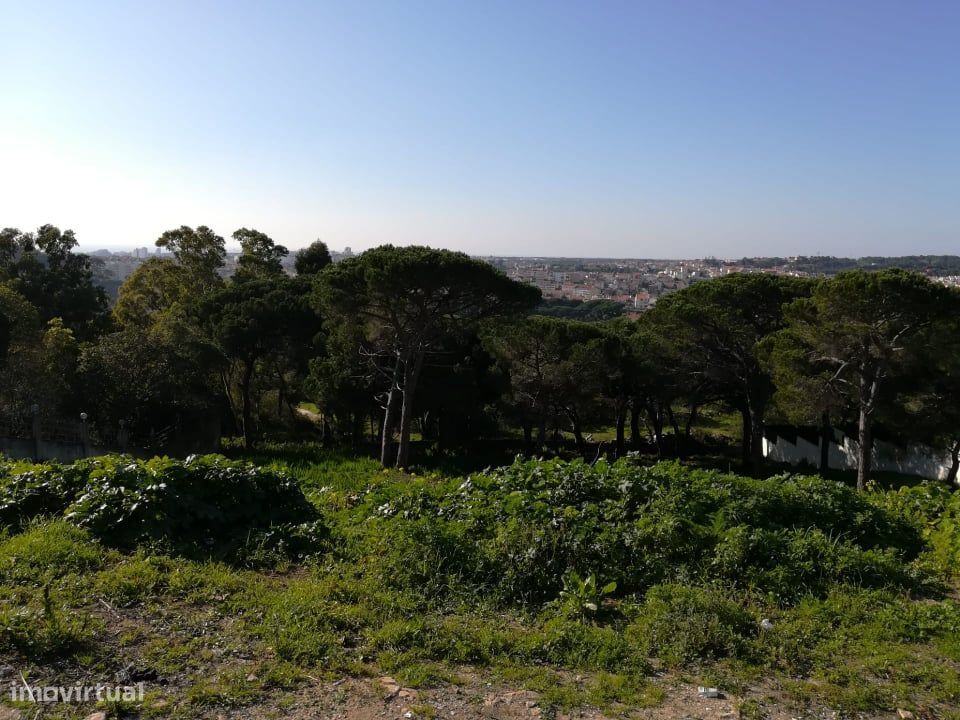 Terreno próximo ao Clube de Golf do Estoril