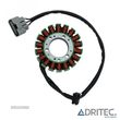 STATOR BENELLI BN 302 LEONCINO 500 TRK 502 (2014-2020) - 1