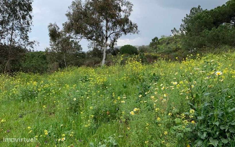 Terreno urbano em Odemira - Grande imagem: 5/7