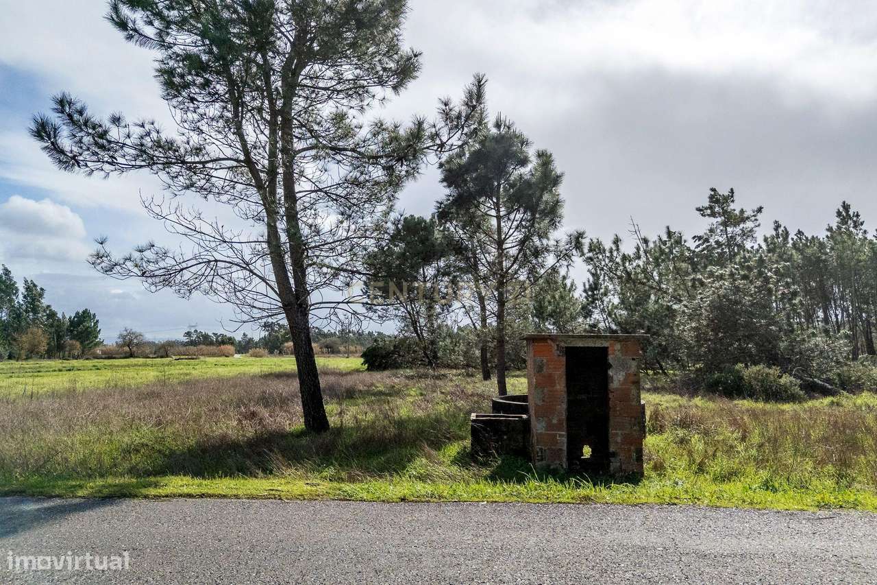 Terreno Agrícola em Alhadas, Figueira da Foz - 1071m² - Grande imagem: 2/8