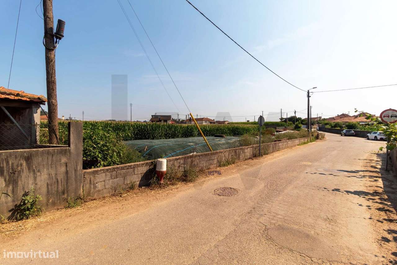 Terreno com Elevado Potencial para Investimento – Avanca, Estarreja-26
