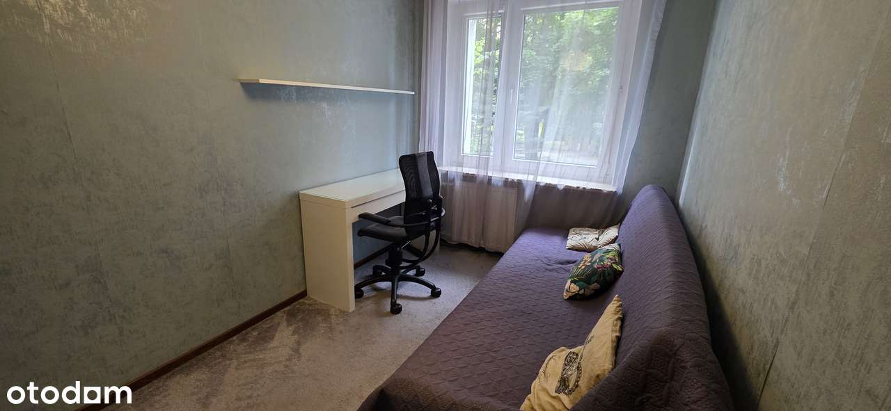 Przestronne 4-pok, Winogrady,-1