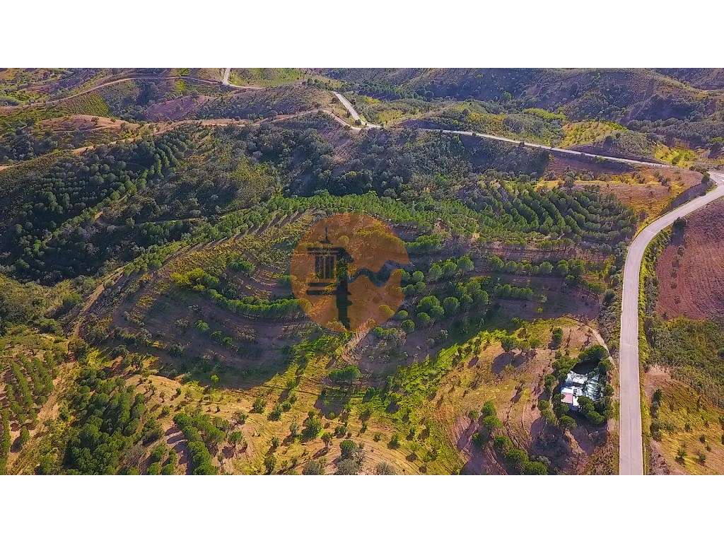 TERRENO COM 62.180 M2 - POSSIBILIDADE DE TURISMO RURAL - CONSTRUÇÃO... - Grande imagem: 4/44