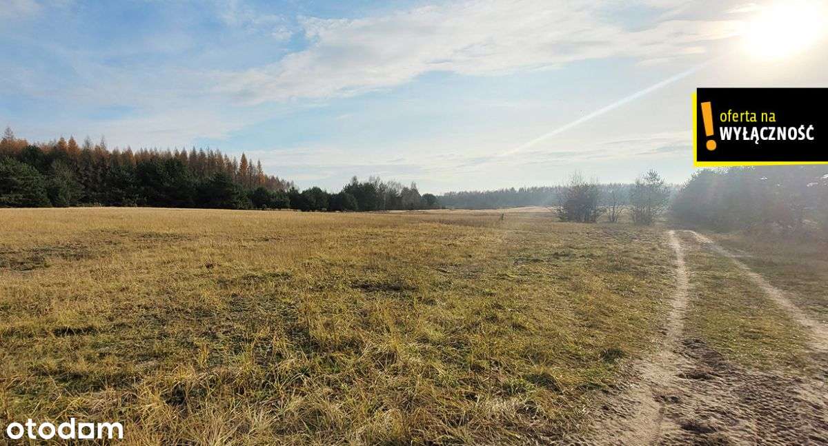 Działka blisko lasu.-8