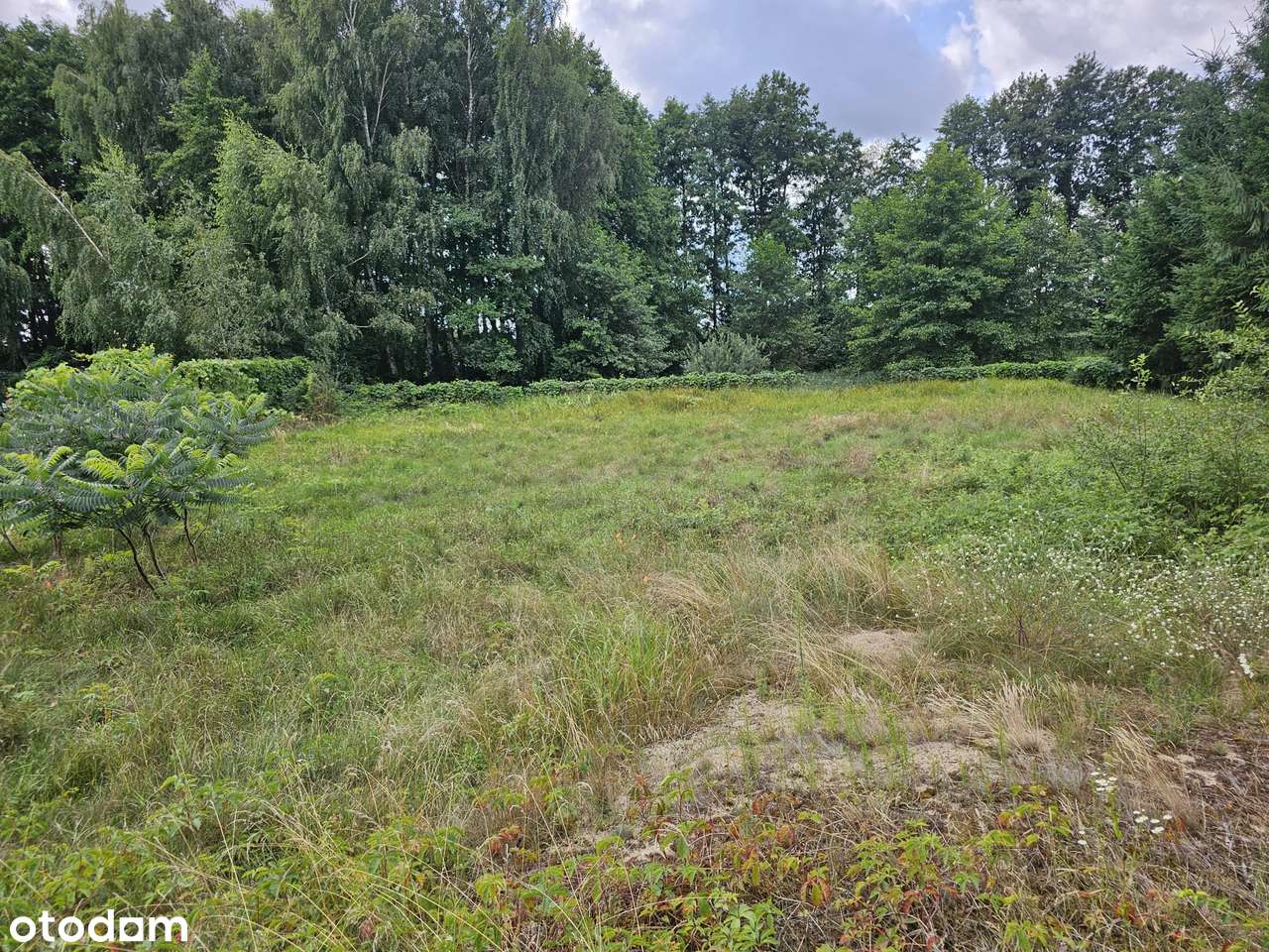 Dom, 300 m², Osłonin-5